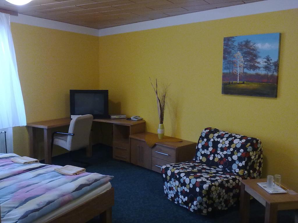 Pension Duel Ústí nad Labem 部屋 写真