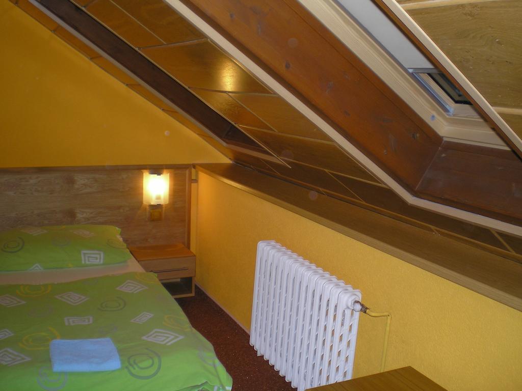 Pension Duel Ústí nad Labem 部屋 写真
