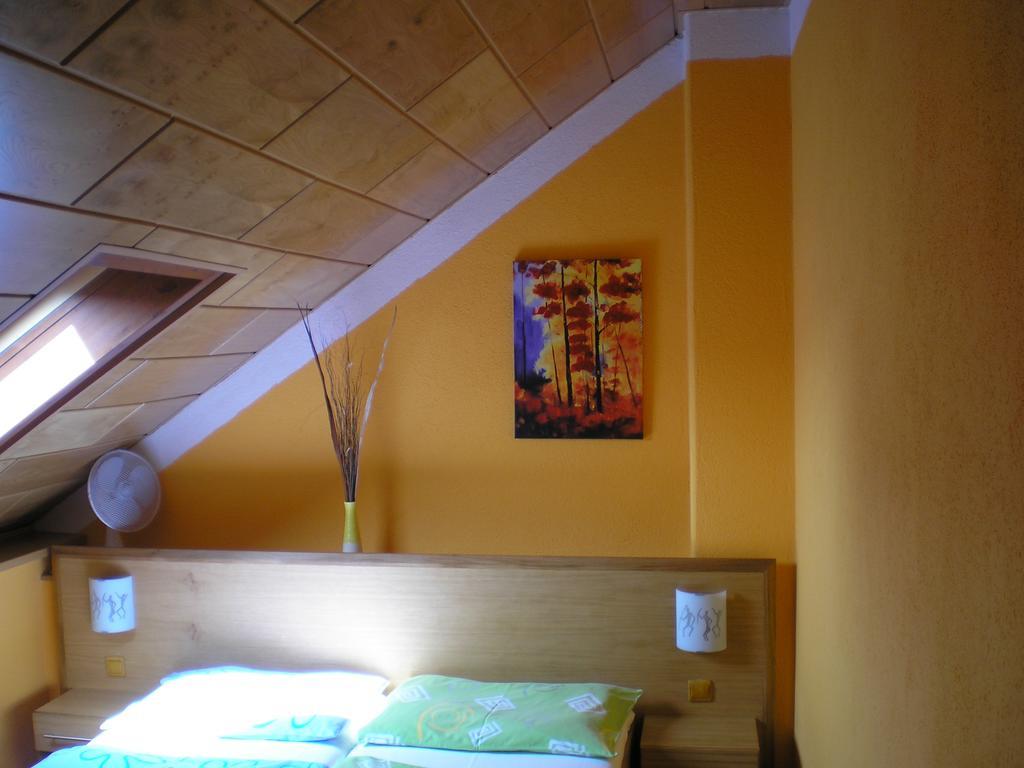 Pension Duel Ústí nad Labem エクステリア 写真