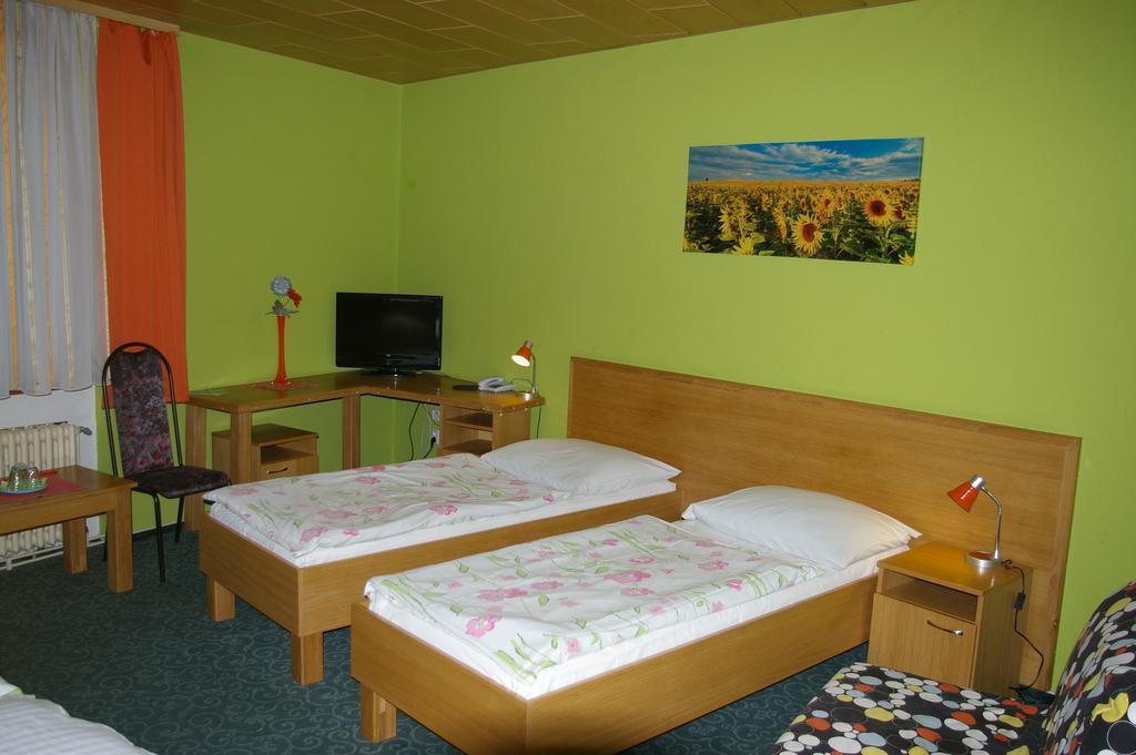 Pension Duel Ústí nad Labem エクステリア 写真